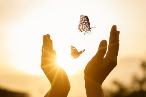 Mit dem Lichtmedium in andere Dimensionen blicken: Foto: © sarayut_sy / shutterstock / #1819721660