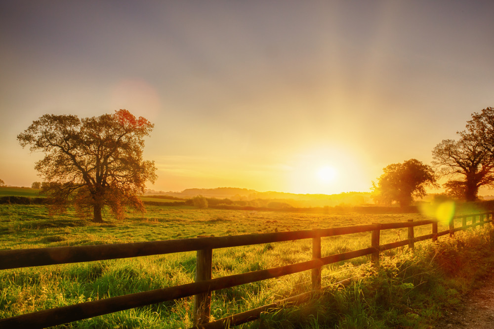 EFT, die Emotional Freedom Technique, und was sie kann: Foto: © Simon Bratt / shutterstock / #1054771703